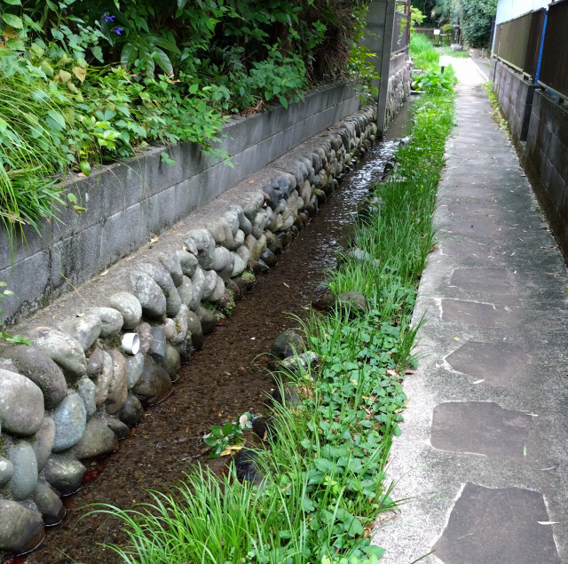 鈴鹿の泉湧水